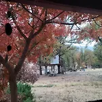 Quiet Artist Suite
